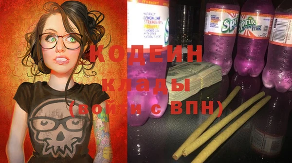 шишки Нея