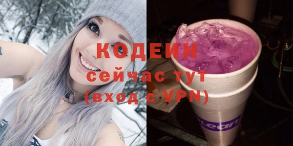 шишки Нея