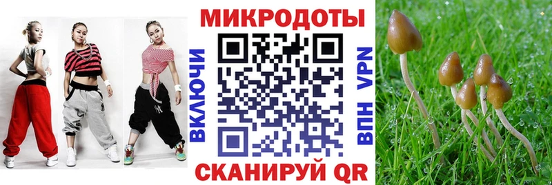 Галлюциногенные грибы MAGIC MUSHROOMS  Чебаркуль 